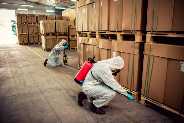 Best Exterminator Services  in Russiaville, IN