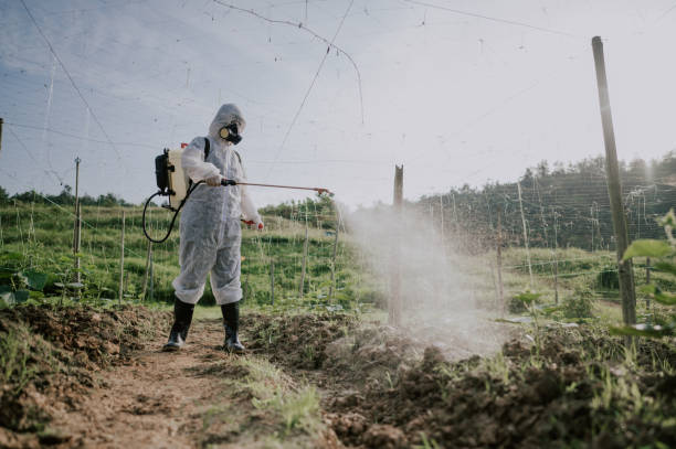 Best Pest Control for Businesses  in Russiaville, IN