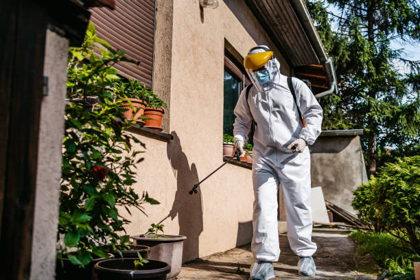 Best Rat Extermination Near Me  in Russiaville, IN
