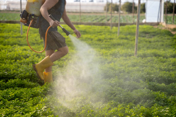 Best Pest Removal Services  in Russiaville, IN