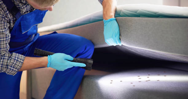 Best Affordable Pest Control Services  in Russiaville, IN