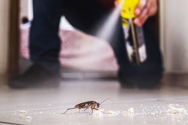 Best Residential Pest Control  in Russiaville, IN