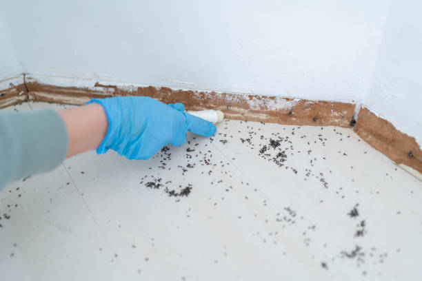 Best Best Pest Control Companies  in Russiaville, IN